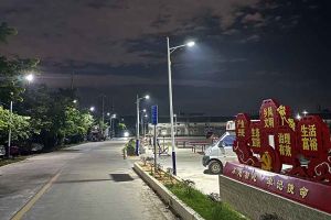 平博（中国）集团罗宁弟爱心捐赠路灯，点亮乡村路温暖乡民心