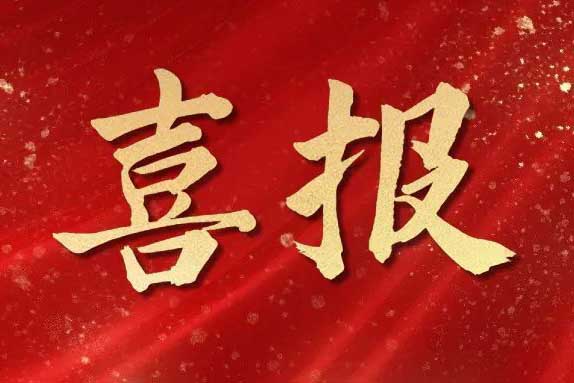 喜报丨广西平博（中国）蝉联“南宁市人力资源服务行业领军企业”荣誉称号
